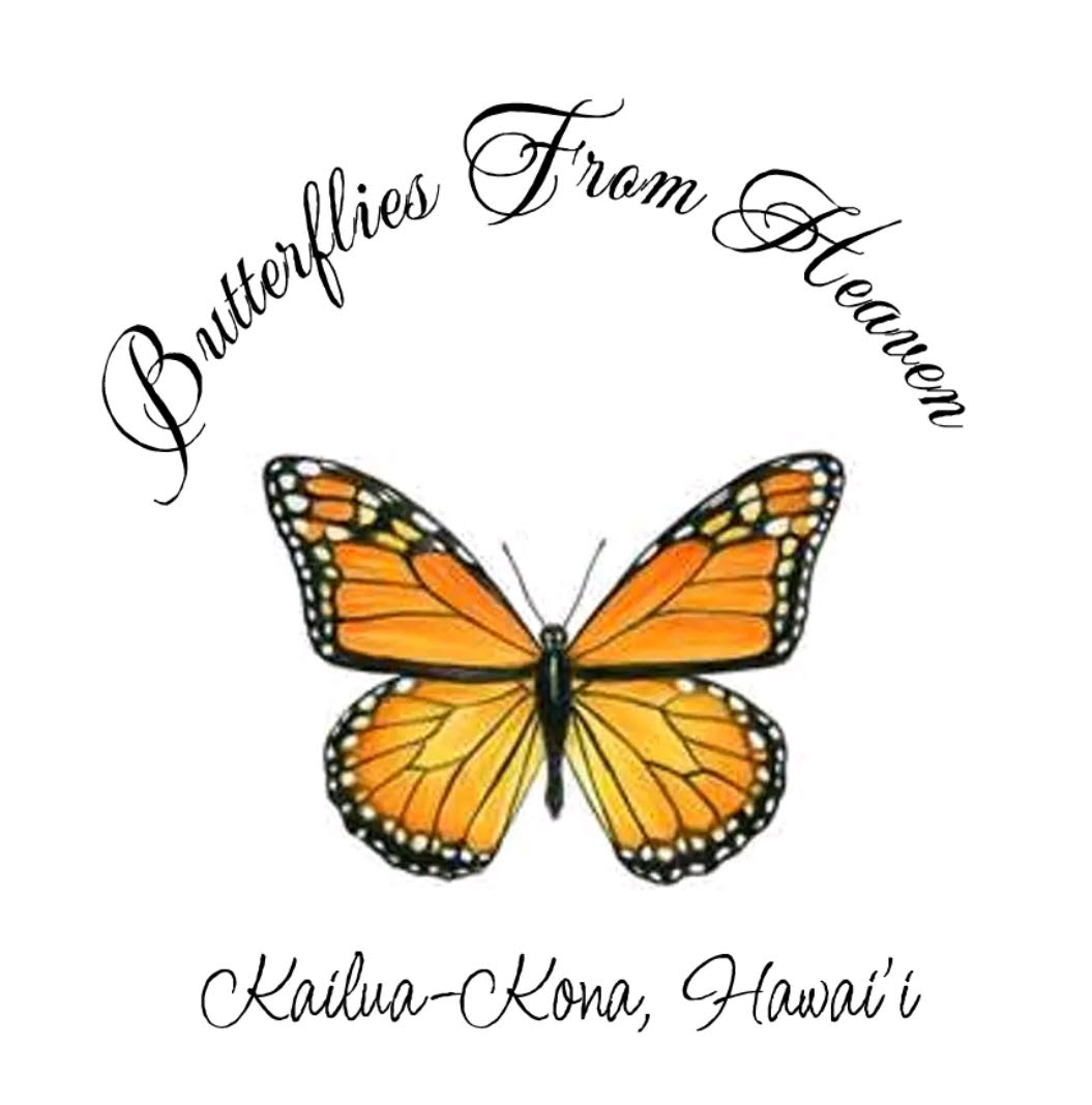 Butterflies From Heaven